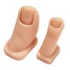 Toenail Manicure Manikin, Realistic Artificial Training Aid view 1