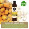 P-Beauty Natural Cosmetics Marula Hair Care Set – Shampoo & Hair Mask – Organic & Vegan view 2