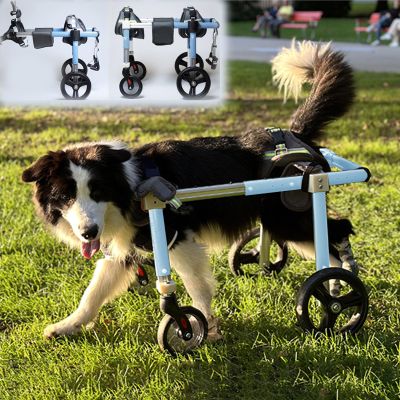 Adjustable Dog Wheelchair with Hind-Leg Support and Protective Pads
