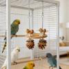 Foraging Interactive Bird Toy for Parakeets view 3
