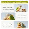 Foraging Interactive Bird Toy for Parakeets view 4