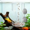 Fish Tank Feeder - Clear Aquarium Tube Feeder view 3