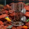 Fish Tank Feeder - Clear Aquarium Tube Feeder view 4
