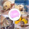 Hamster Sand Bath Box view 3
