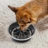 Slow Feeder Insert for Dogs view 3