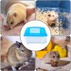 Hamster Sand Bath view 3