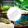 Crystal Shelter House for Small Fish view 2