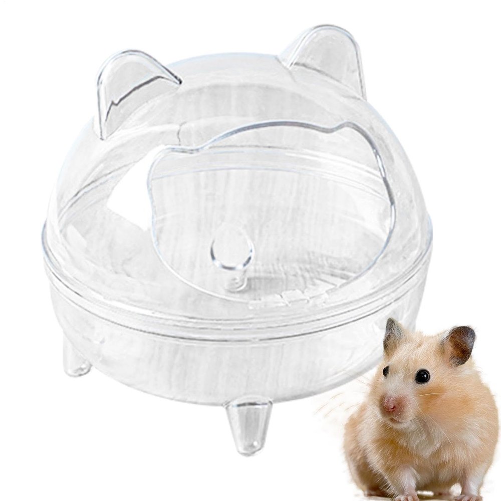 Chinchilla Sand Bath