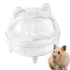 Chinchilla Sand Bath view 1