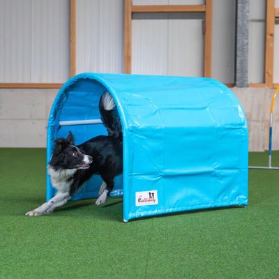 Hoopers Tunnel/Bottomless Callieway BOLO-des-Alpes Twin Pack (Cyan)
