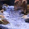 Crystal Shrimp Nest Aquarium Shelter view 3