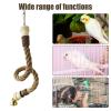 Bird Rope Perch & Swing view 4