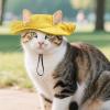 Adjustable Puppy Hat with Wide Brim view 3