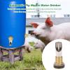 Asixxsix Automatic Stainless Steel Pig Nipple Waterer with Connector and Drill view 3