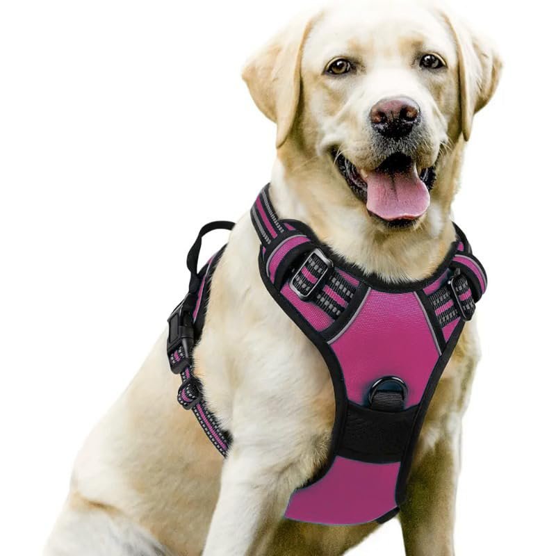 Anti-Pull Dog Harness with Slip-On Design
