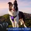 Anti-Pull Dog Harness with Slip-On Design view 3