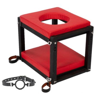 BDSM Love Chair for Restraint and Couples
