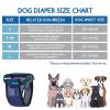 1PC Washable Female Dog Heat Pants with 3 Pads, Adjustable Reusable Diaper, Black, M view 2