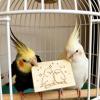 Cockatiel Toy | 10-Piece Natural Chew Toy for Bird Cages view 2