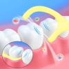 Dental Floss Picks, 200 Count, 4 Flavors and Colors, Disposable Flossers with Toothpicks view 4
