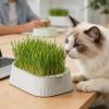 Cat Grass Planter view 3