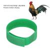 10 Pack Rooster Collars Without Crowing view 4