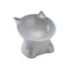 AMSLSIU Elevated Pet Bowl view 1