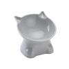 AMSLSIU Elevated Pet Bowl view 2