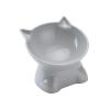 AMSLSIU Elevated Pet Bowl view 3