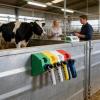 Glugahrif 4-Piece Magnetic Livestock Holder Applicator Organizer view 3