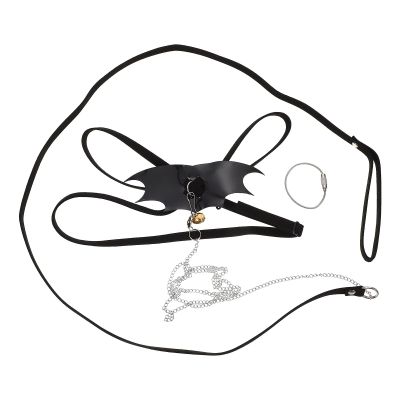 Kichvoe Lizard Harness Set with Leash