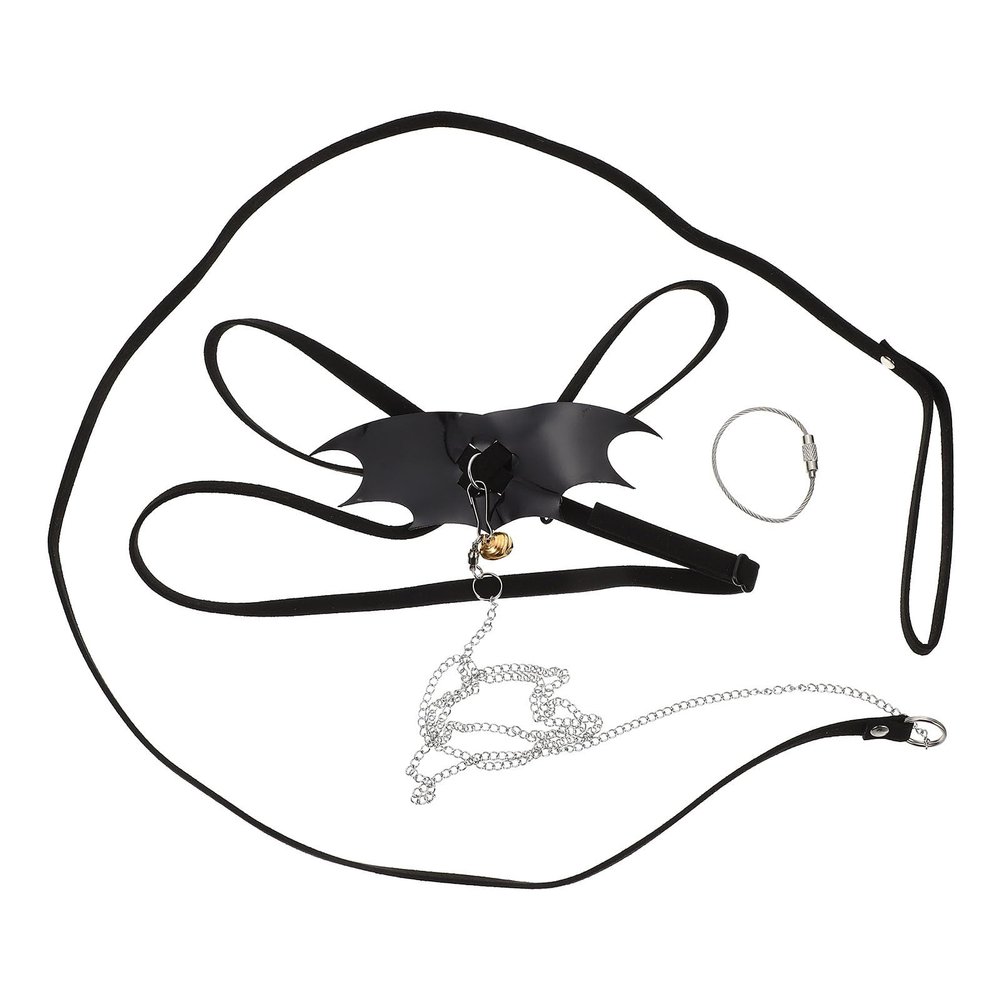 Kichvoe Lizard Harness Set with Leash