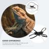 Kichvoe Lizard Harness Set with Leash view 3