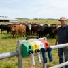 Livestock Care Tool Rack, 4-Piece Magnetic Rack for Animal Applicators view 2