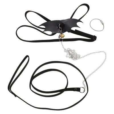 Luxshiny Metal and Fluff Reptile Leash for Outdoor Use