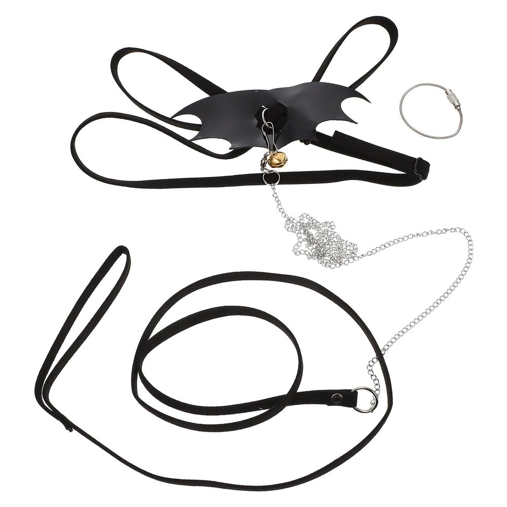 Luxshiny Metal and Fluff Reptile Leash for Outdoor Use