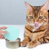 HOMSFOU Silicone Cat Food Spoon with Practical Can Lids view 4