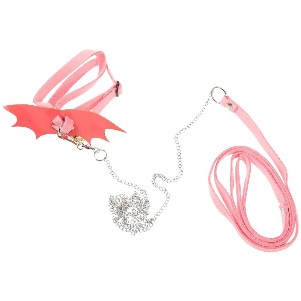 Totority Turtle Harness with Leash