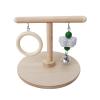 Guangcailun Parrot Play Stand and Perch view 1
