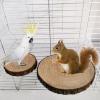 Natural Wood Platform Perch for Parrots and Small Pets view 2