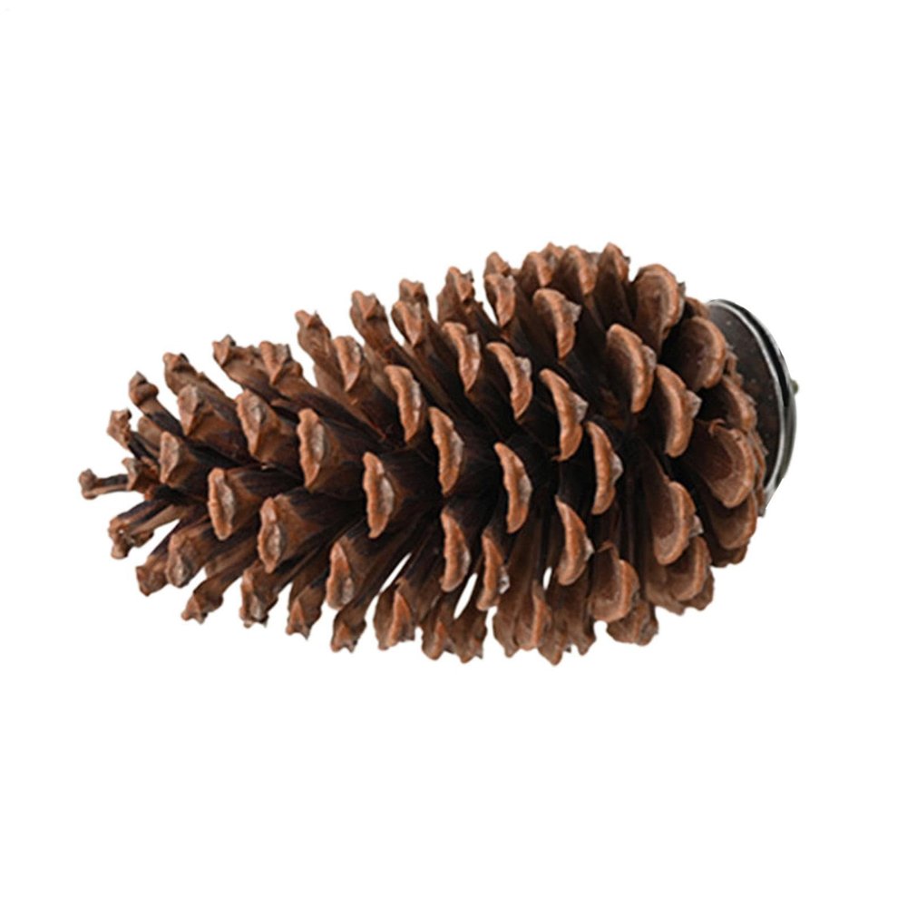Generic Bird Perch Stand, Pine Cone, 15 x 7 cm | Beak-Grinding Perch