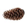 Generic Bird Perch Stand, Pine Cone, 15 x 7 cm | Beak-Grinding Perch view 1