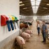 Livestock Care Tool Rack, 4-Piece Applicator Holder view 2