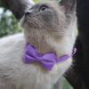 FVPKYUR Dog Bowtie Collar with Bell view 2