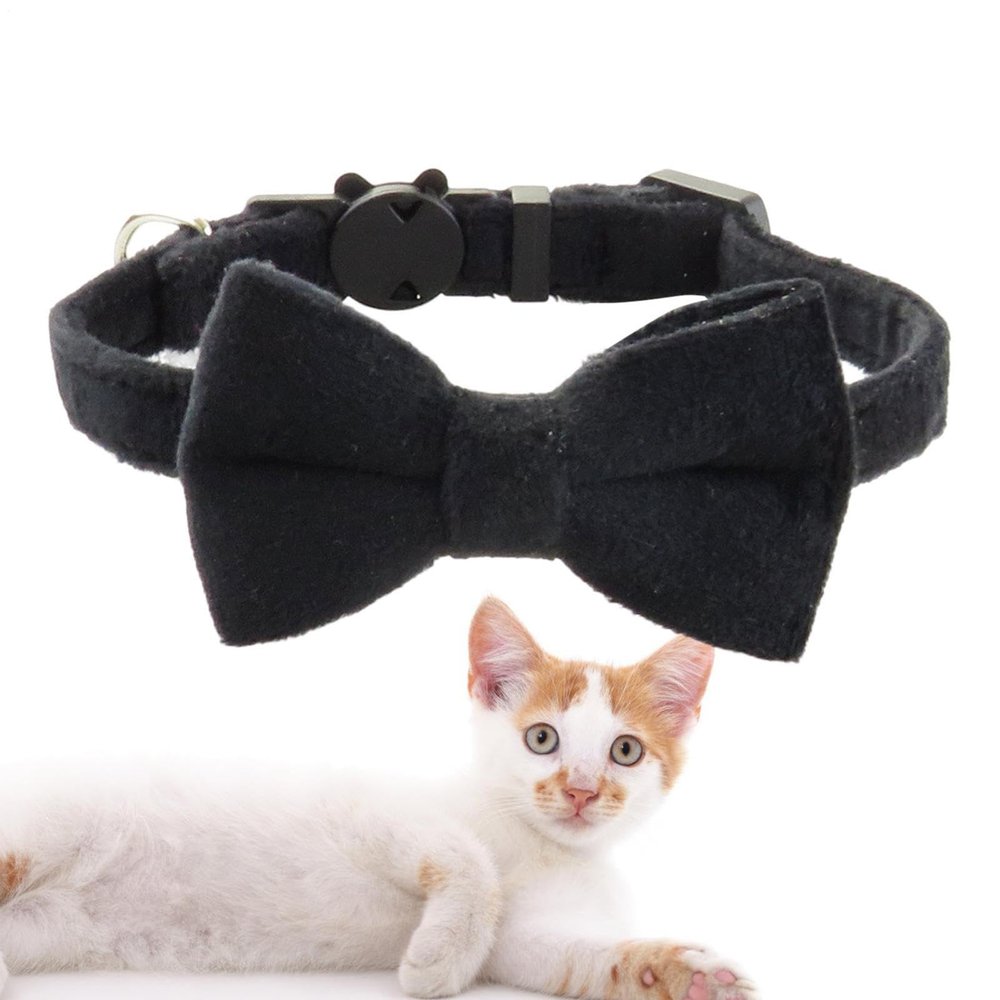 Bow Tie Dog Collar with Bell