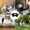 Bow Tie Dog Collar with Bell view 3