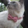 Bow Tie Dog Collar | Adjustable Cat Collar with Removable Bell view 2
