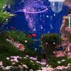 BCOATH Aquarium Hatchery for Fish Breeding view 3