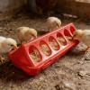 Automatic Feeder for Poultry and Small Birds view 3