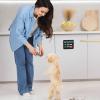 Magnetic “Have We Been Fed?” Feeding Reminder Sign for Dogs and Cats view 4